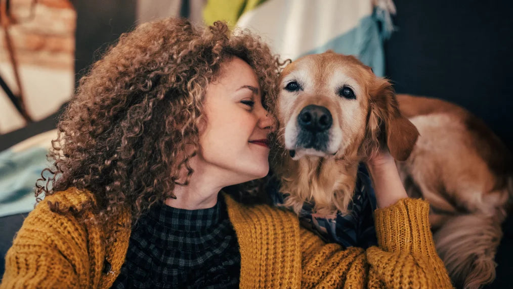11 Best Healthiest Dog Breeds For Active Owners