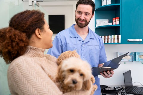 talk to vet