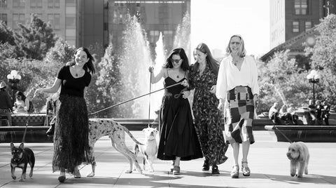 women's history month, pride+groom founders, women founded businesses for dogs NYC