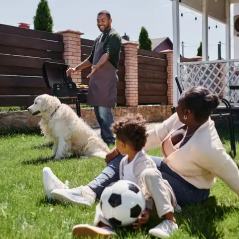 Backyard Safety for Dogs