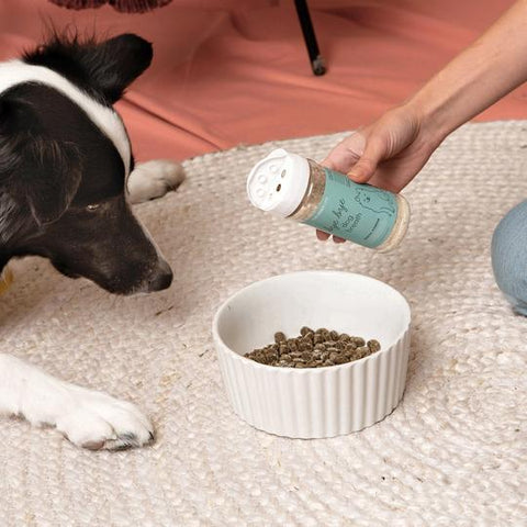 Bye Bye Dog Breath Powder Lifestyle Joey