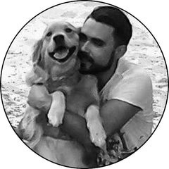 carlos' dog gift guide for christmas 2022