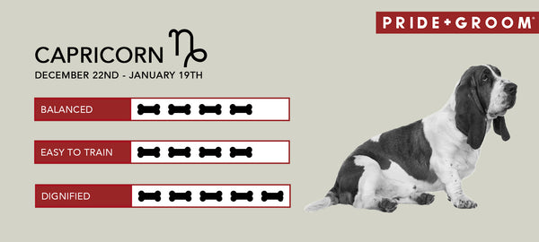 Capricorn dog Personality