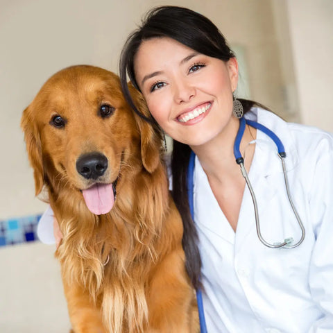Flea and Tick Prevention
