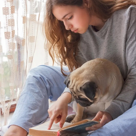 Great Novels Featuring Man's (and Woman's) Best Friend
