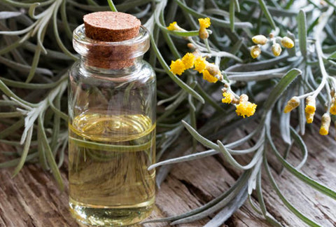 Helichrysum Oil (Immortelle Oil) for dogs