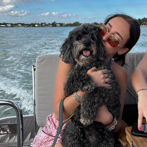 dog on boat, taking dog on boat, boats and dog