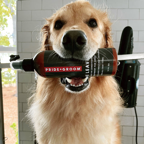 dog shampoo
