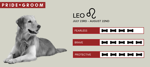 Leo dog Personality