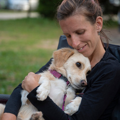 Prevention From Poisoning in Dogs