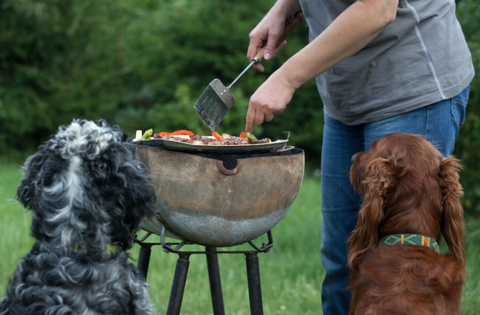 Safe Summer BBQ Tips for Dogs