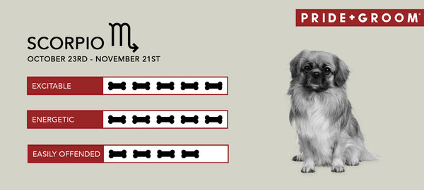 Scorpio dog Personality