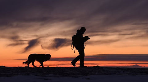 man with dog in sunset, hiking with dog
