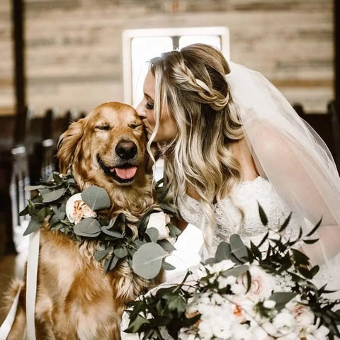 Start Dog Training For The Wedding Day