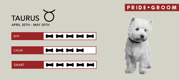 Taurus dog Personality