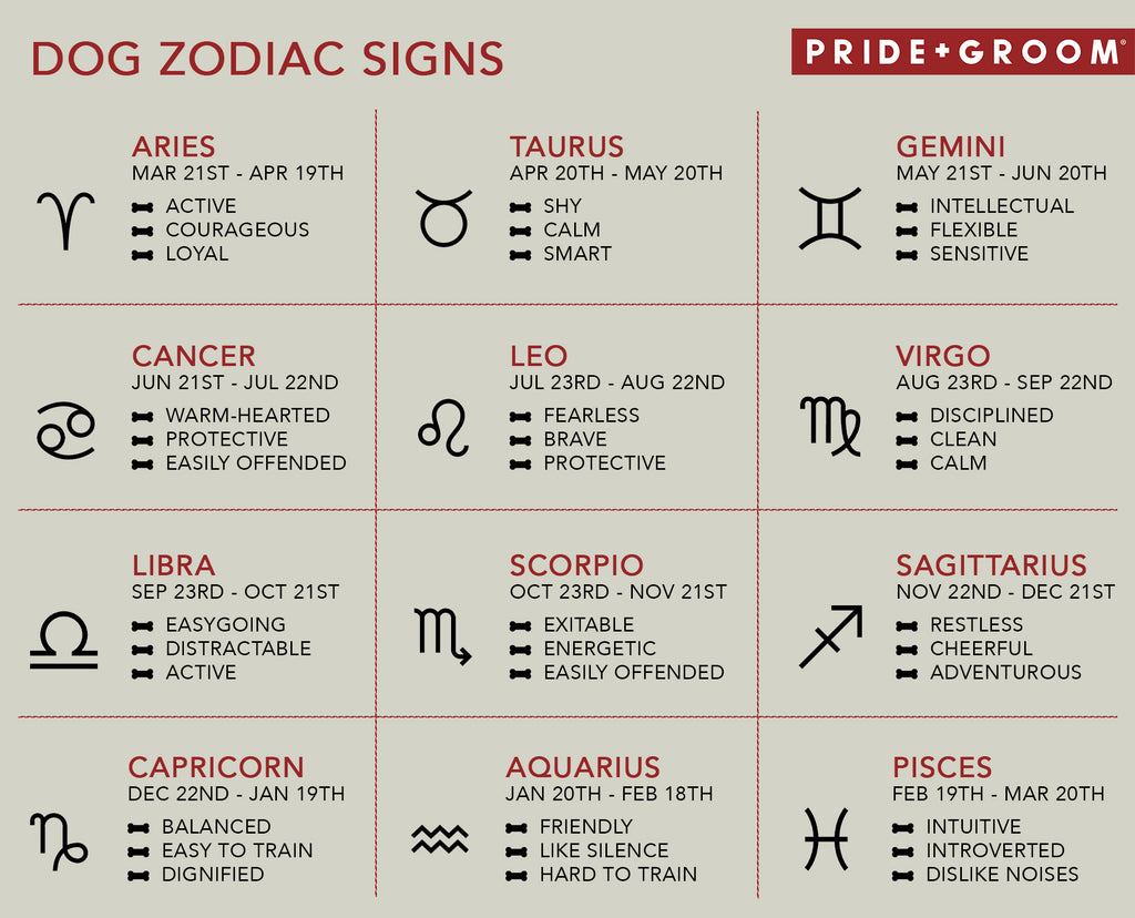 All Dog Zodiac signs Personality