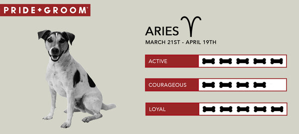 Aries dog Personality