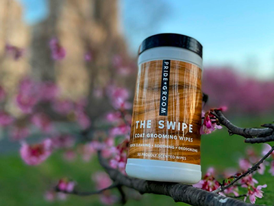 best pet wipes, pet wipes, wet wipes for dogs