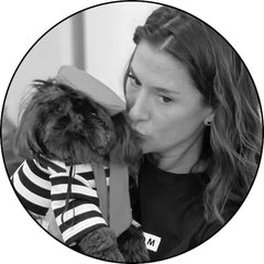 carrie's gift guide for dogs