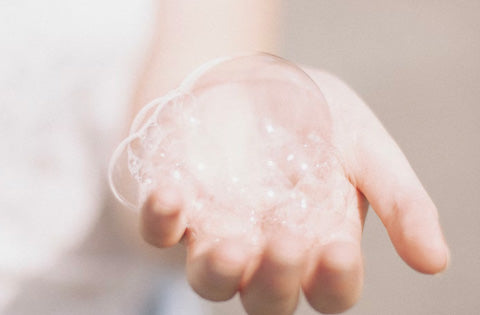 dish soap for dogs, foam dogs, Dish Soap guide for dog wash, Pride and Groom