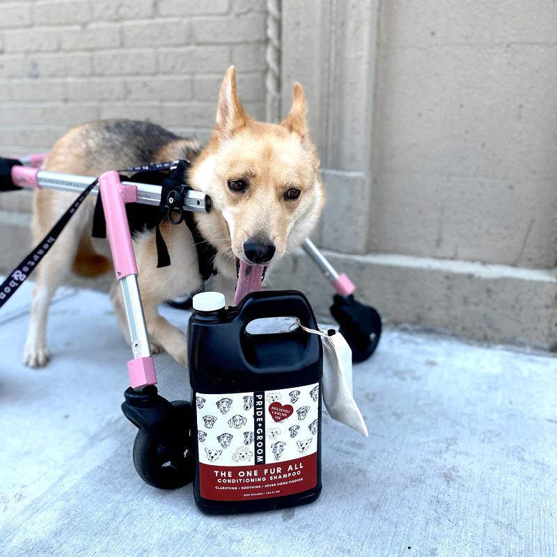 one fur all conditional shampoo for dogs shelters