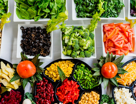 fiber rich food for dogs