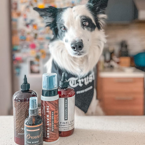 best dog shampoo, pride+groom