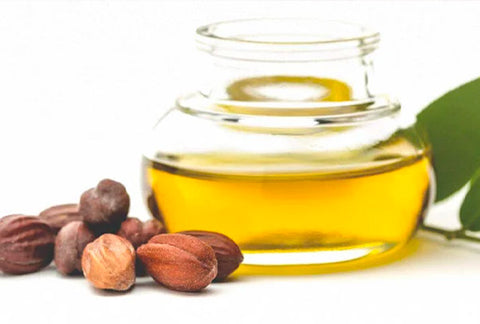 jojoba oil for dogs