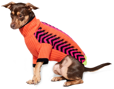 just fred dog sweater