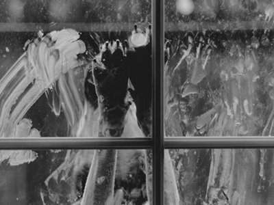 muddy dog paws, dog wipes