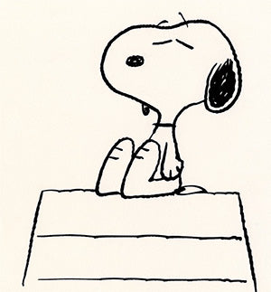 snoopy, not average beagle, beagle & bloodhound mix, bloodhound