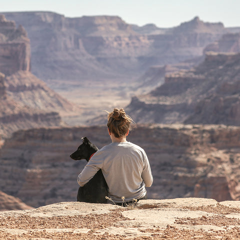 Black Lab hiking with her owner