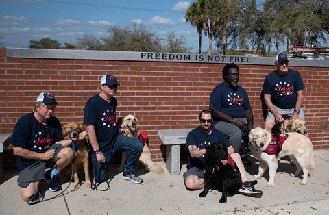 veteran dogs