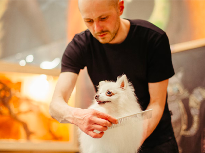 professional dog grooming products, what professional dog groomers use?