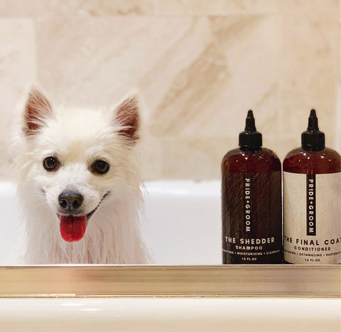 best shampoo for shedding dogs