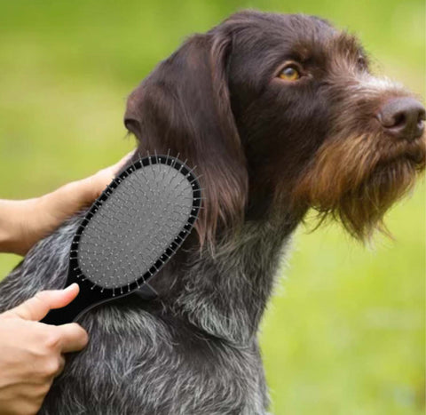best 2-sided brush for shedding dogs